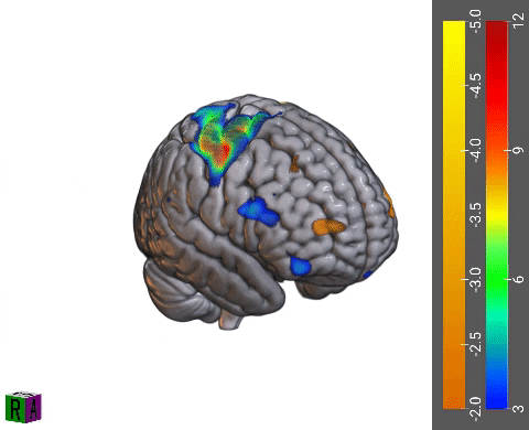 Six young women standing on a brick sidewalk in front of the entrance to a glass-fronted blue-framed building. Their attir...